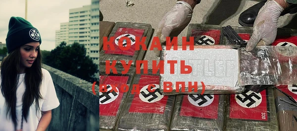 дмт Няндома