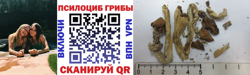 Галлюциногенные грибы мухоморы  blacksprut вход  Нижнеудинск 