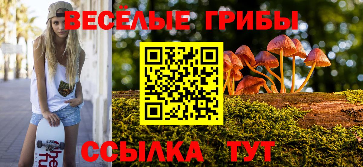 Галлюциногенные грибы Psilocybe  Нижнеудинск 