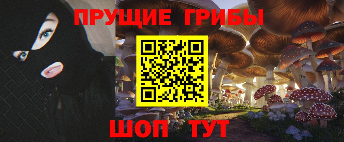 Псилоцибиновые грибы Psilocybe Нижнеудинск
