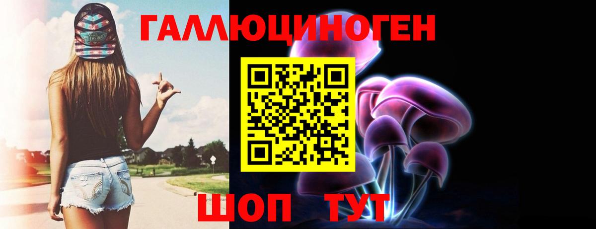 Нижнеудинск  Псилоцибиновые грибы Psilocybine cubensis  дарнет шоп  Вход с VPN 
